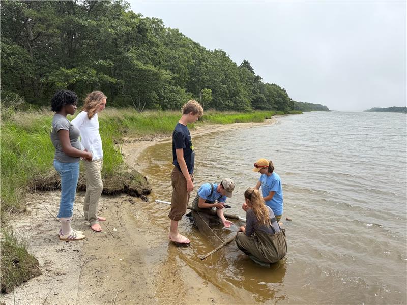 Six people working on the shoreline