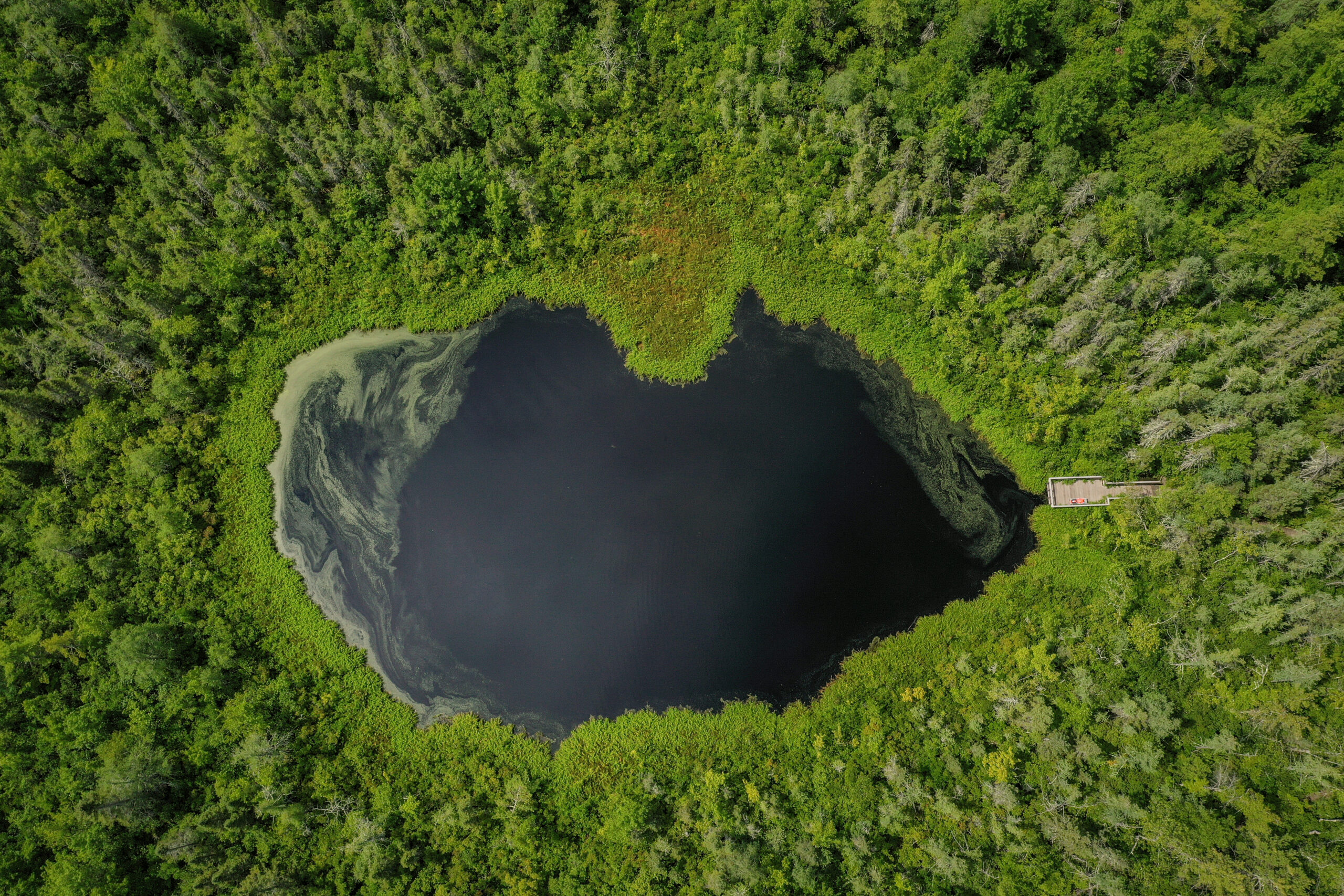 An aerial of the pine hole pond at Ward Reservation. Green forest surrounds a blackened pond in the center of the photo