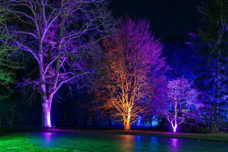 Winterlights at Bradley