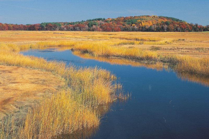 OTH Fall Marsh Credit RCheek