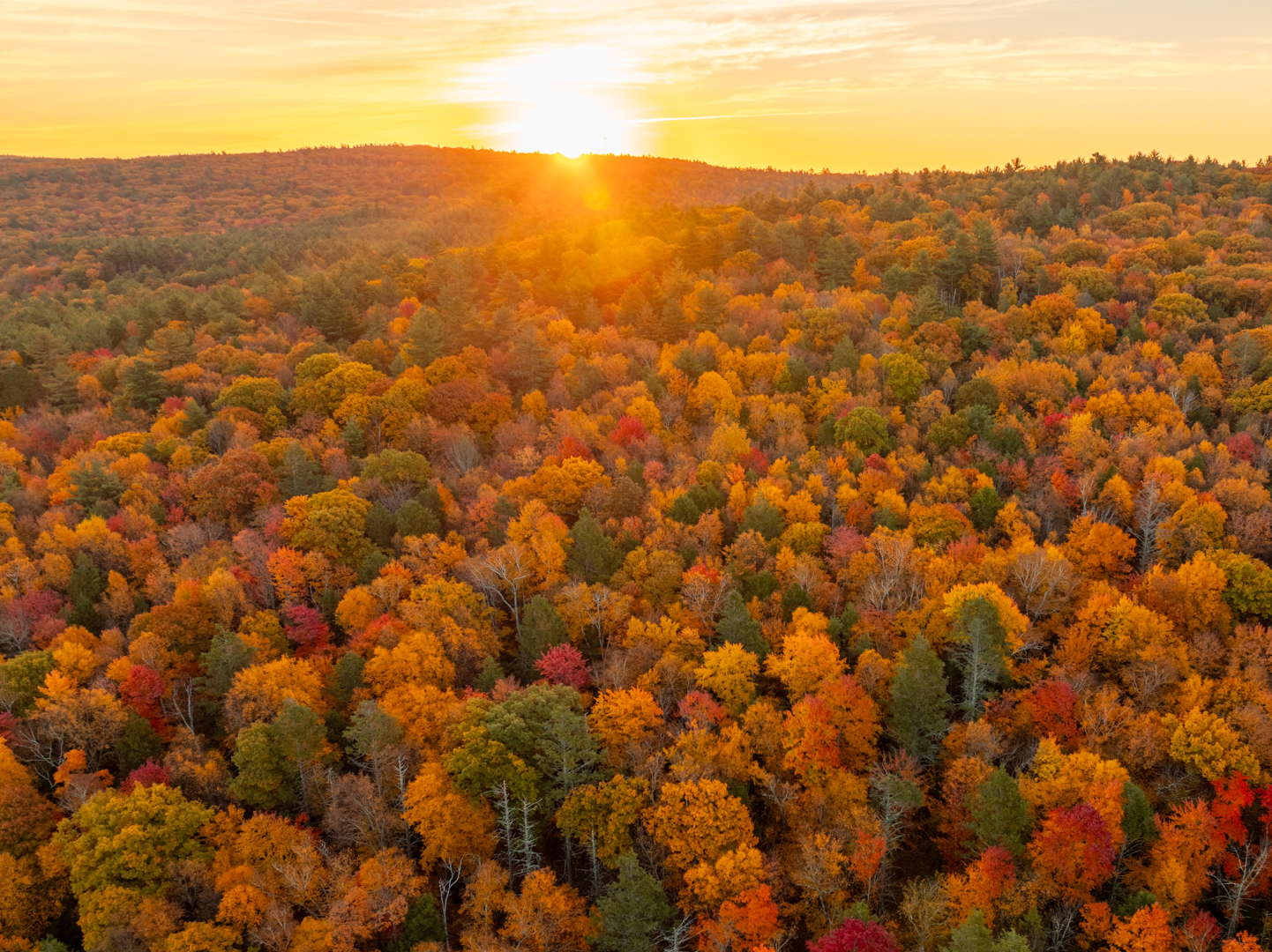 Golden sunset at Pelham Hills