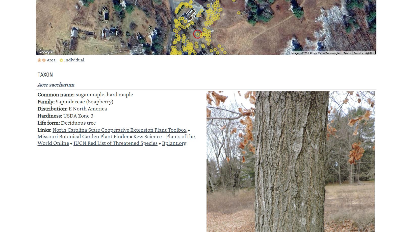 An individual plant's information on the Map view of the Garden Explorer - trustees.gardenexplorer.org/