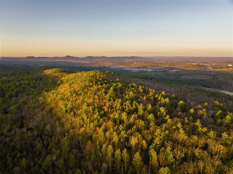 An aerial of Pelham Hills