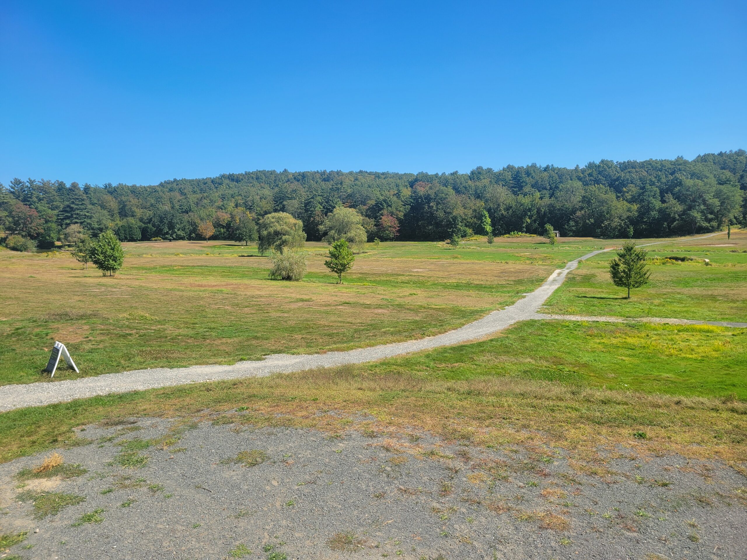 A view of Beaver Brook