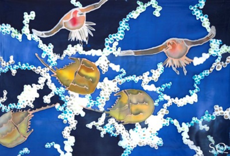 Susan Quateman Silk Painting