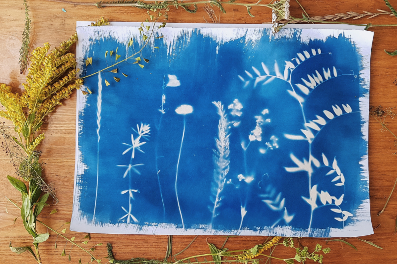 cyanotype