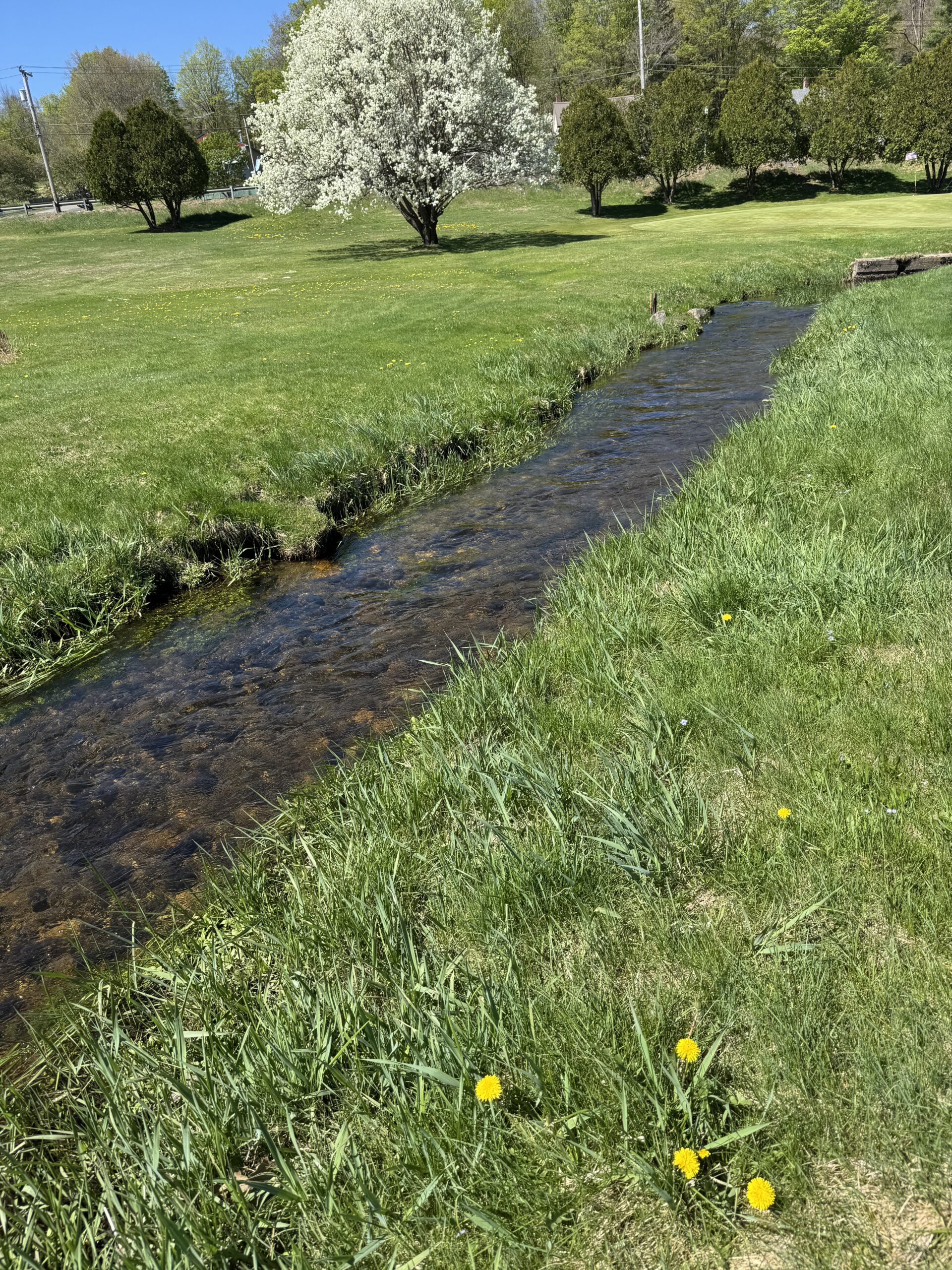 A waterway at Beaver Brook
