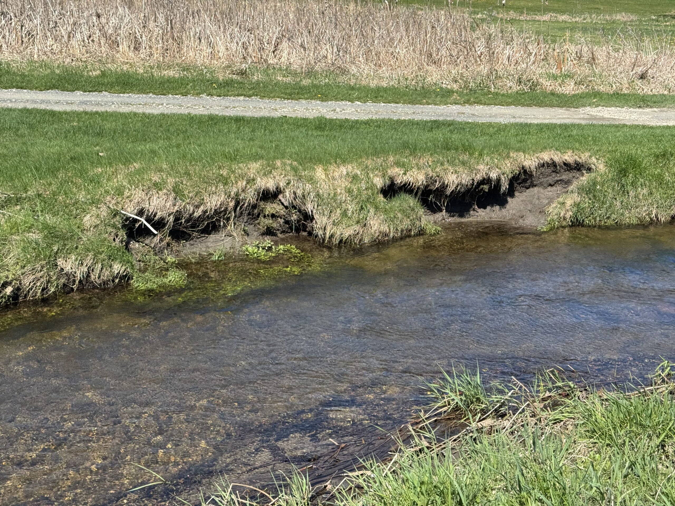 A waterway at Beaver Brook