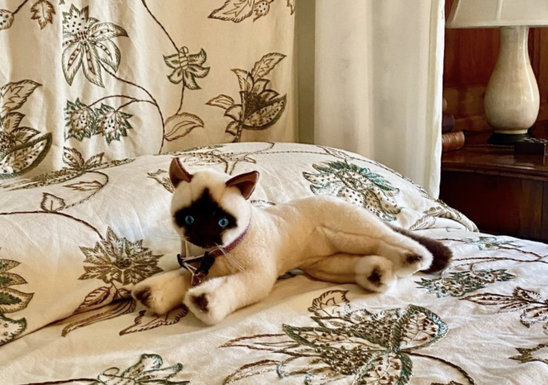 A stuffed kitty toy on a bed in Castle Hill on the Crane Estate, Ipswich.