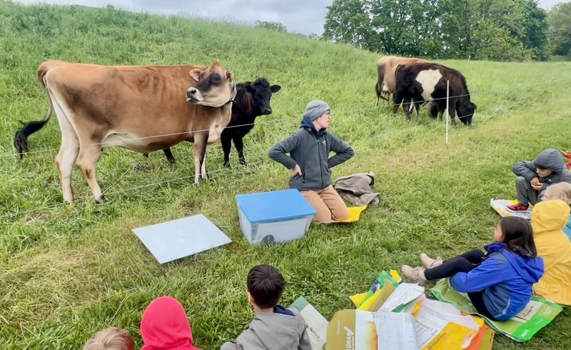 Learning with Livestock at Appleton Farms