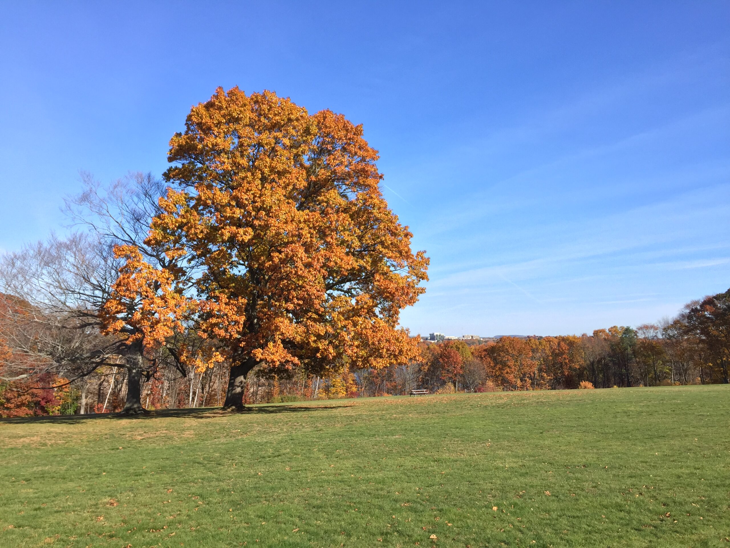 Governor Hutchinson’s Field in Milton, Massachusetts