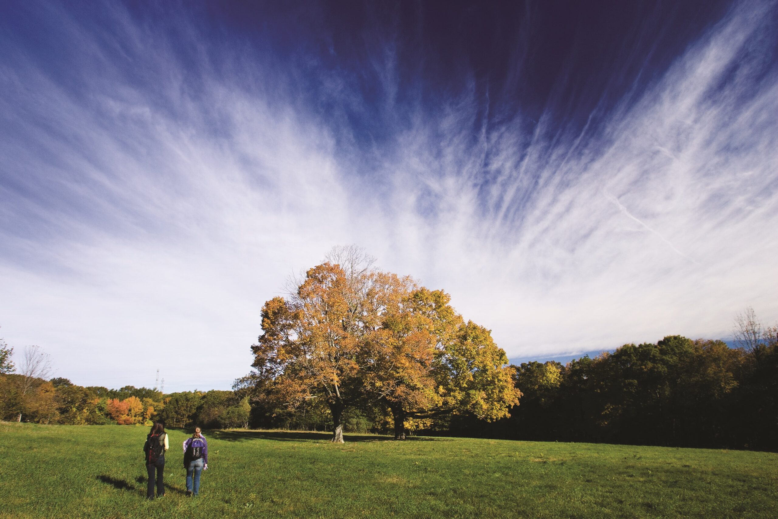 Moose Hill Farm in Sharon, Massachusetts