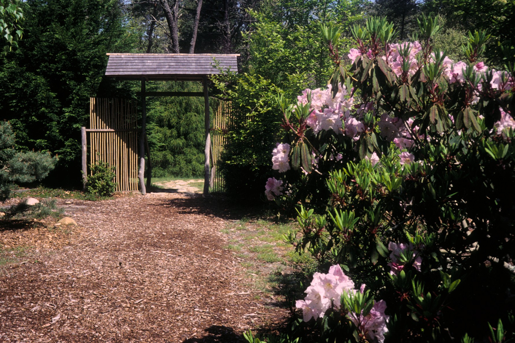 Mytoi's entrance torii, Chappaquiddick Island.