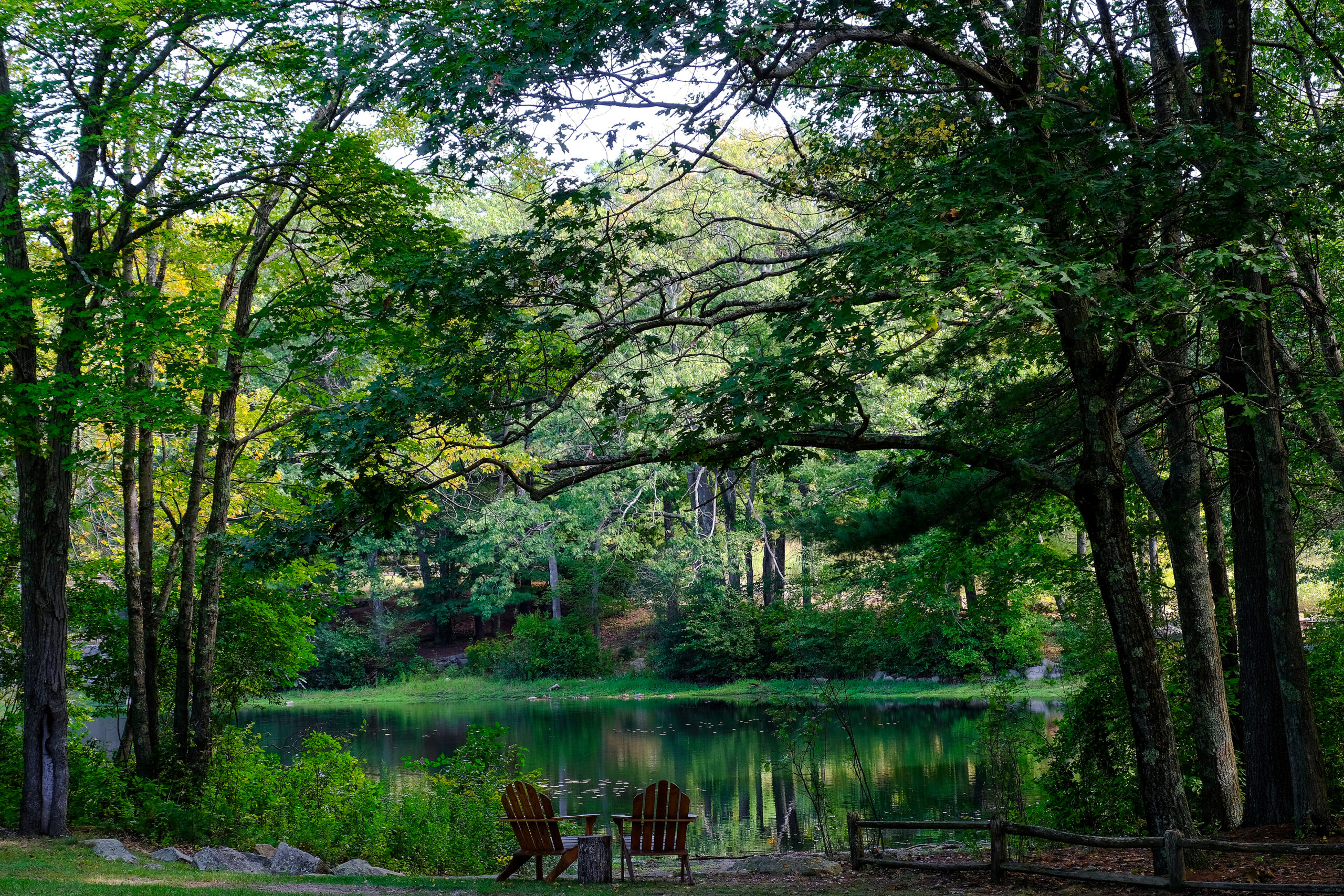 Rocky Woods in Medfield, Massachusetts
