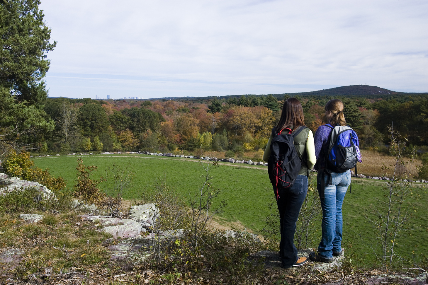 Signal Hill Reservation in Canton, Massachusetts