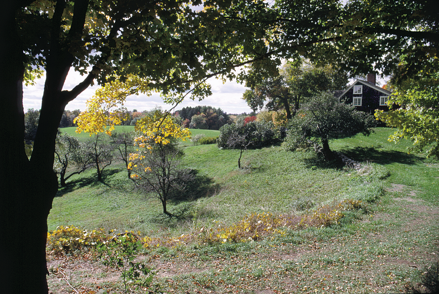 Charles W. Ward Reservation, Andover. Photo by T. Reichard