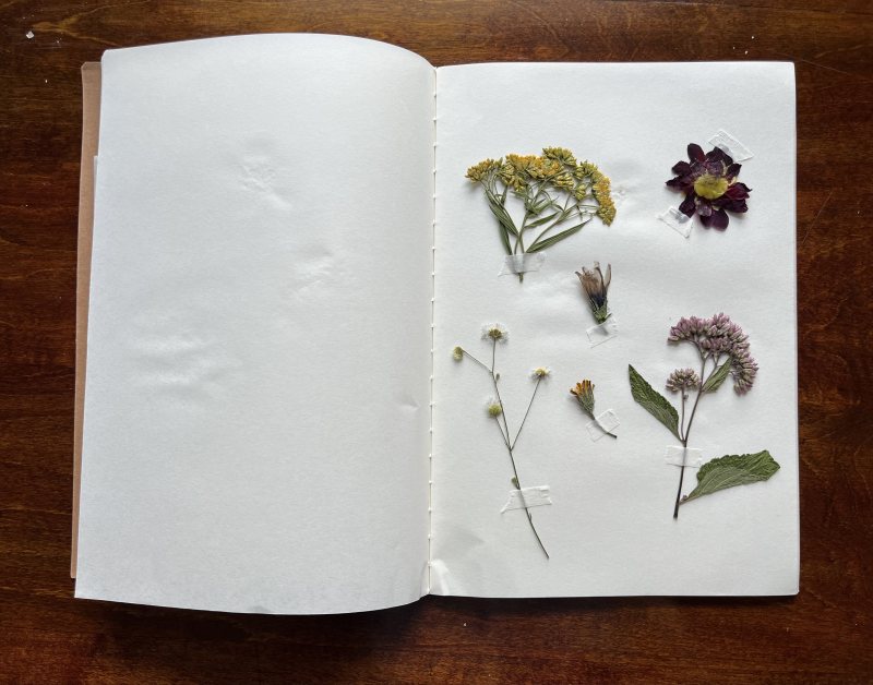 flower pressing sample