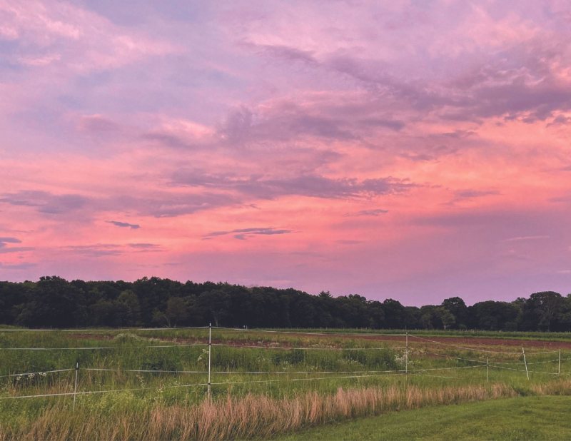 Powisset Sunset