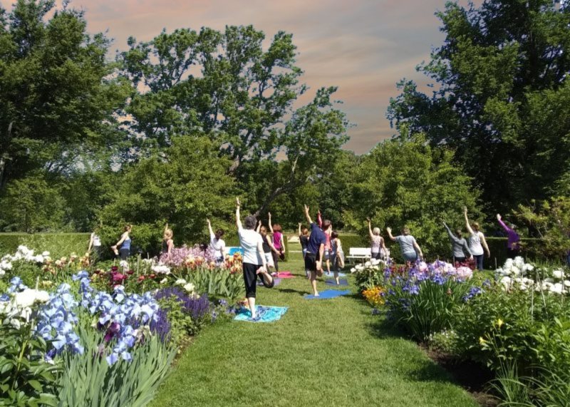 sunset yoga