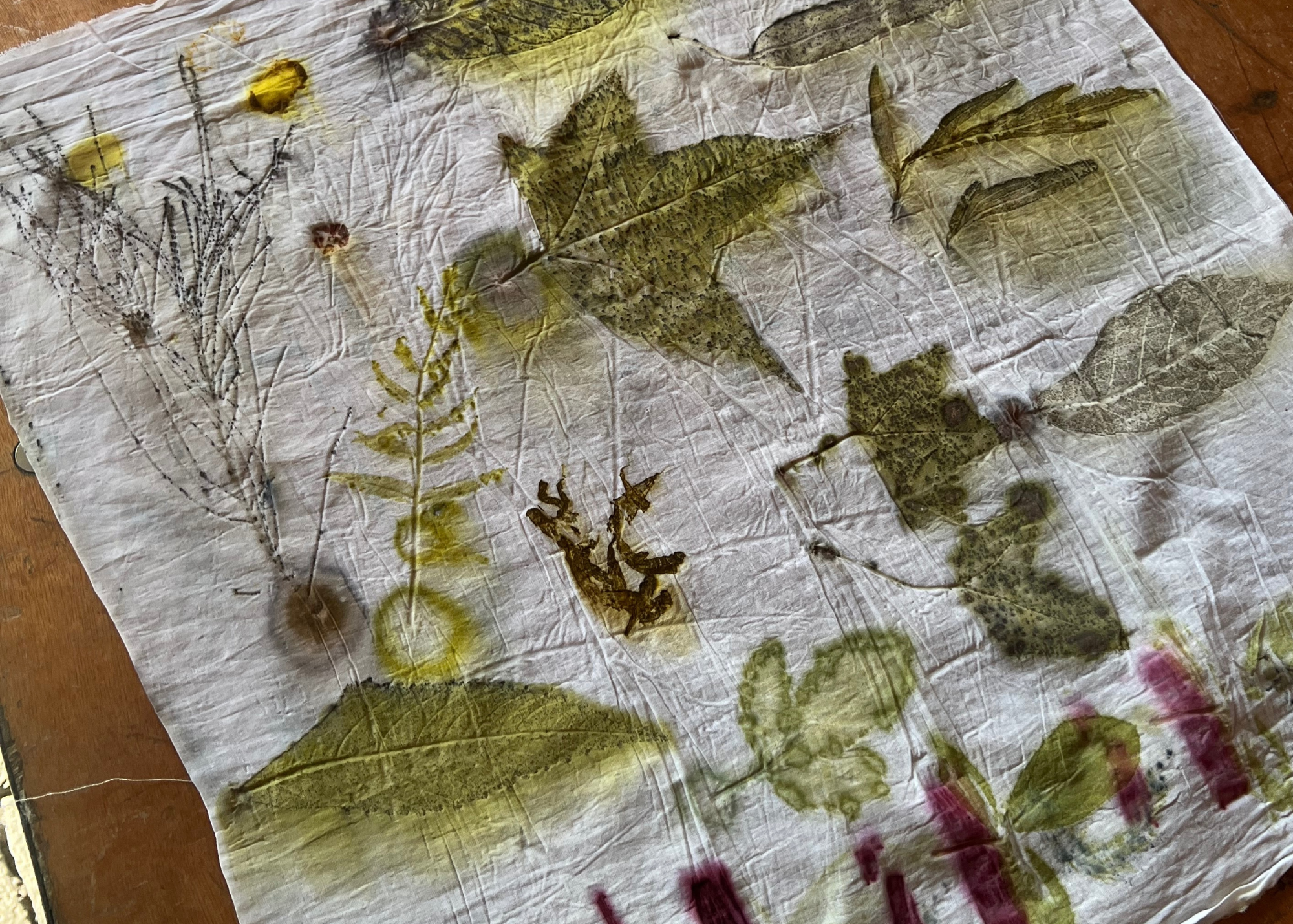 botanical dye