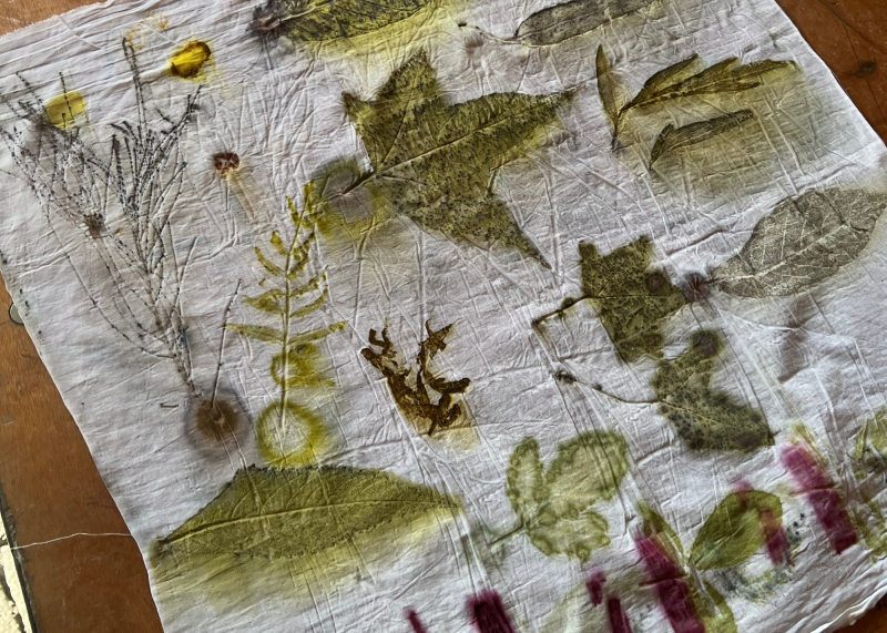 botanical dye