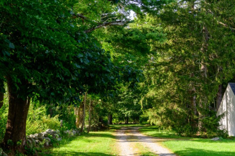 Millborn Farm Road