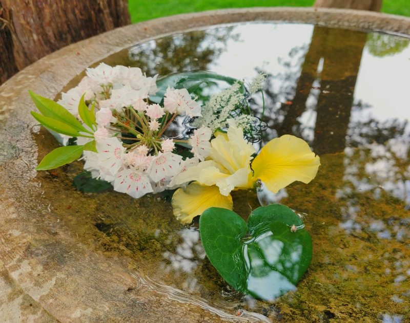 flower essence