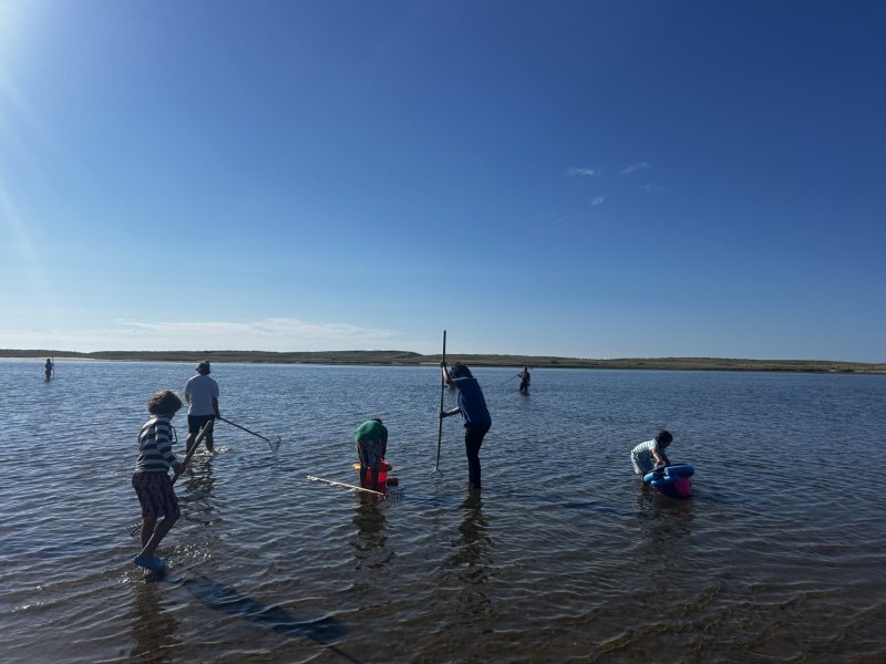 Clamming at Katama Bay