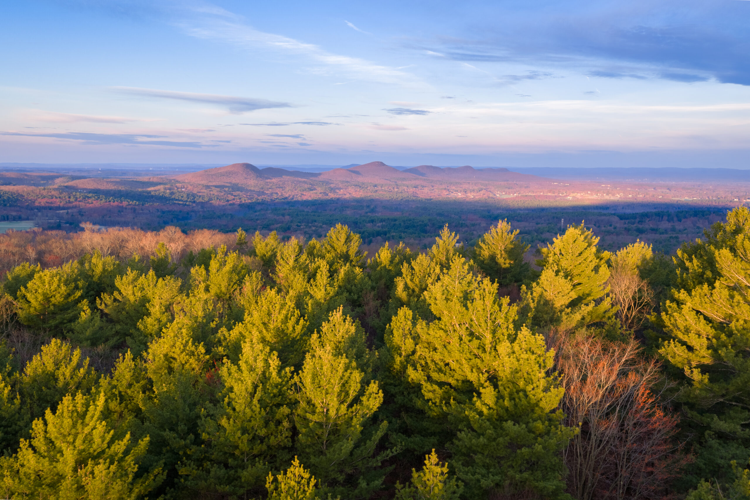 Hop Brook Forest