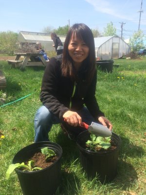 container gardening