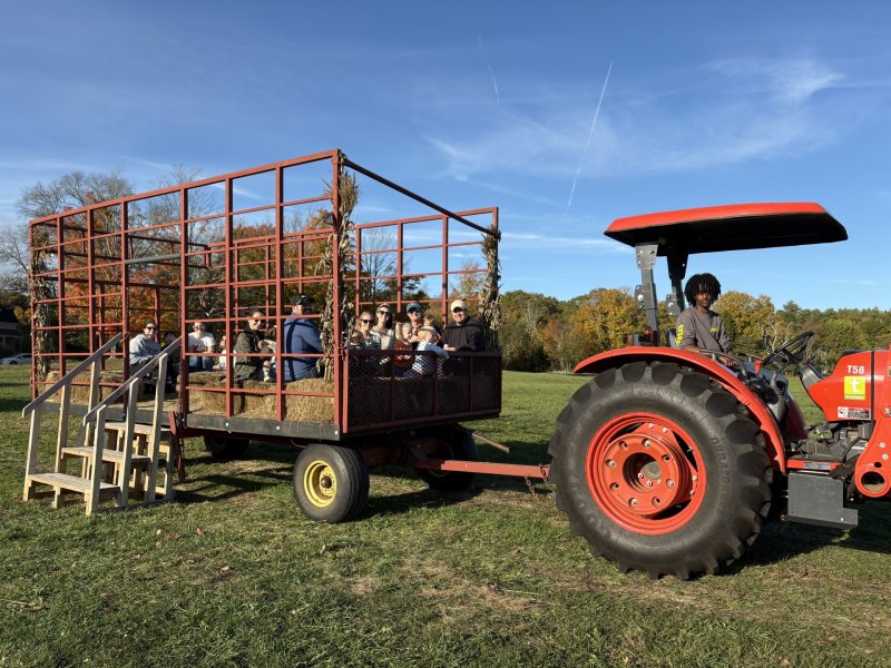 fall fun
