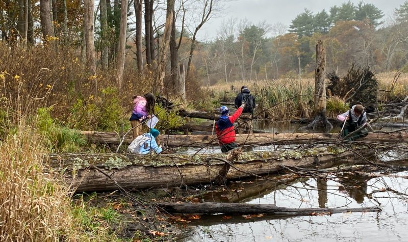 Appleton wetland kids