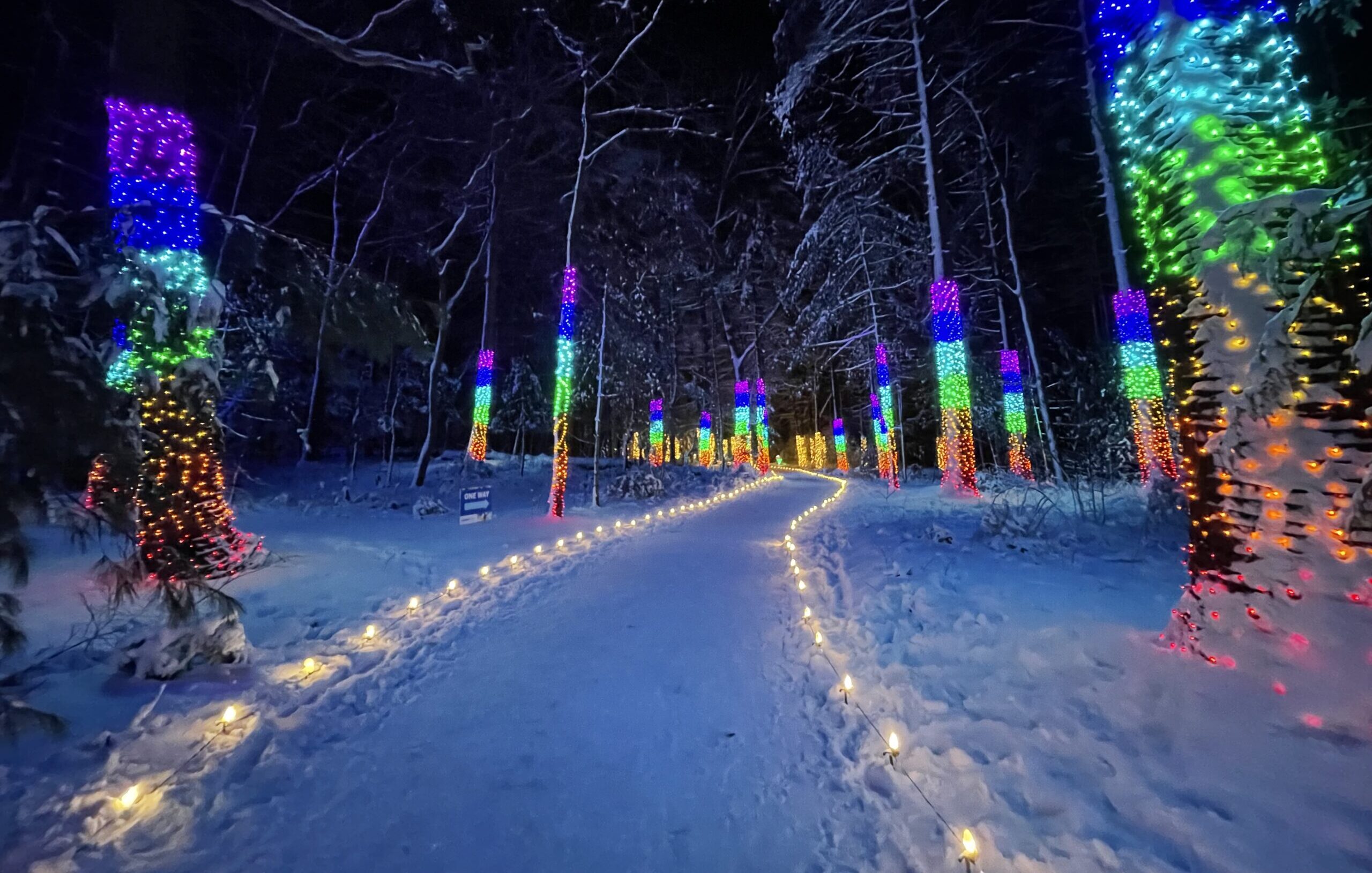 2025 Winterlights at the Eleanor Cabot Bradley Estate in Canton, MA