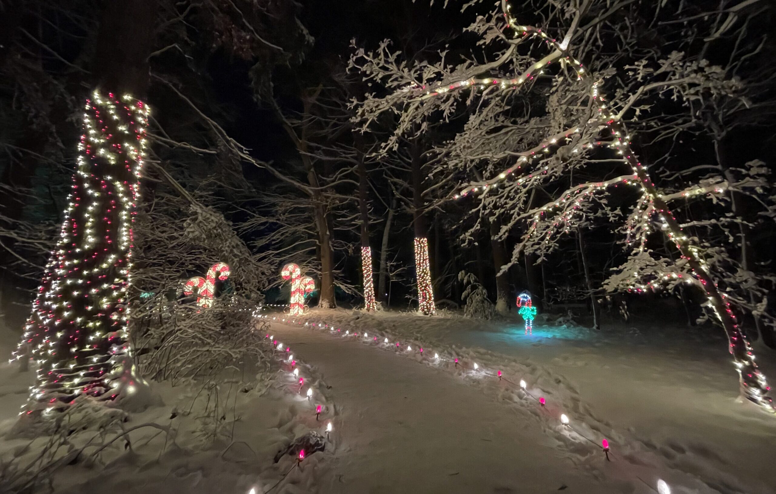 2025 Winterlights at the Eleanor Cabot Bradley Estate in Canton, MA