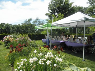 paint the gardens