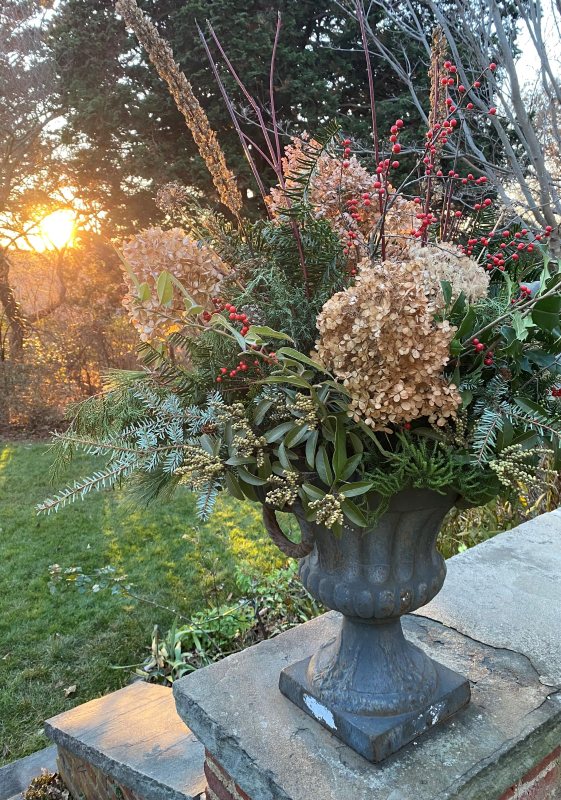 Solstice