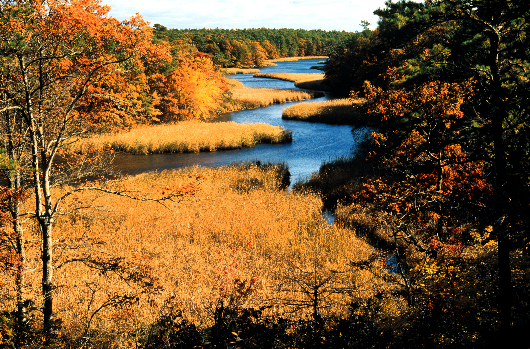 Mashpee River Reservation in the Fall