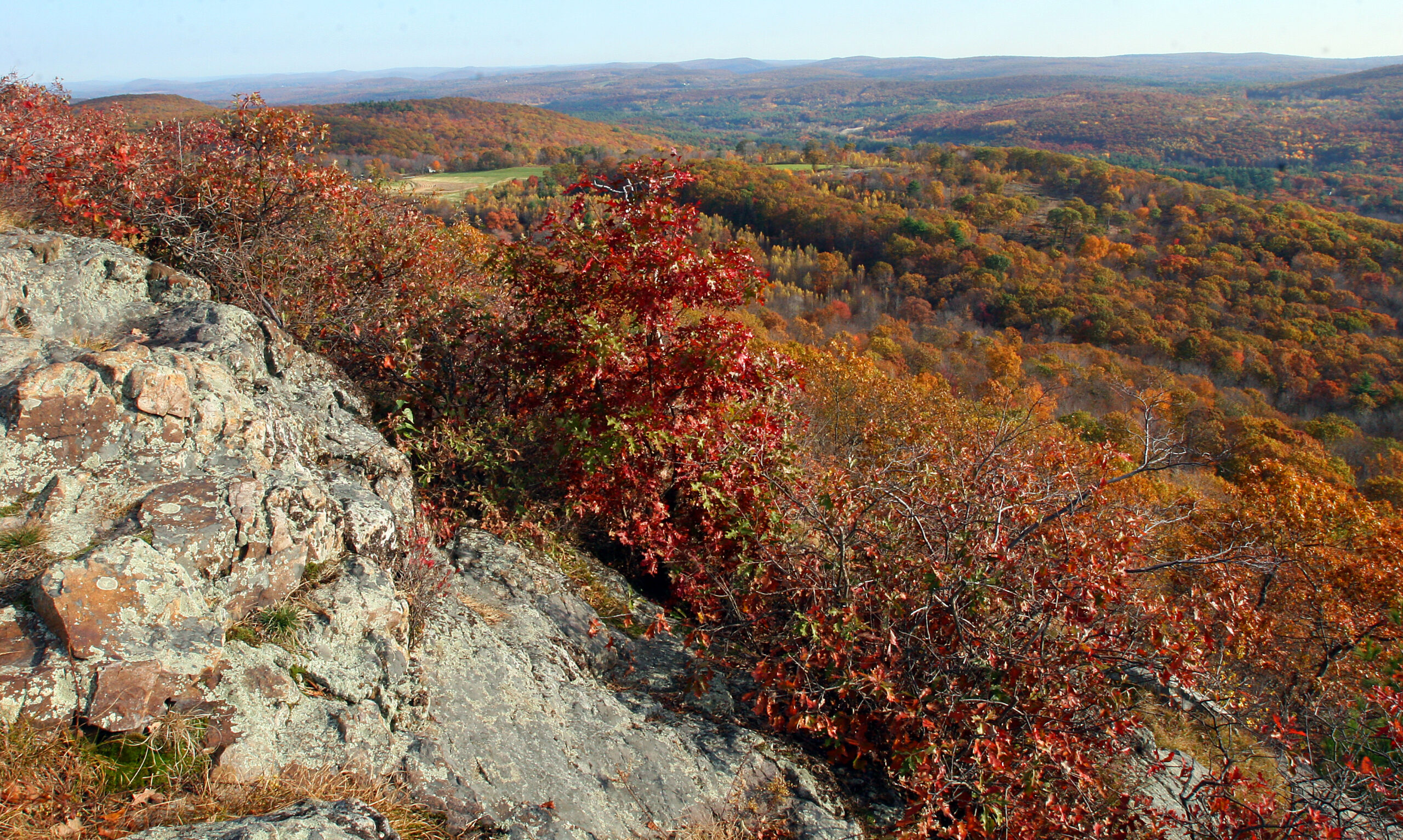 A view of the surrounding land, and trees full of fall colors, from the peak of Peaked Mountain