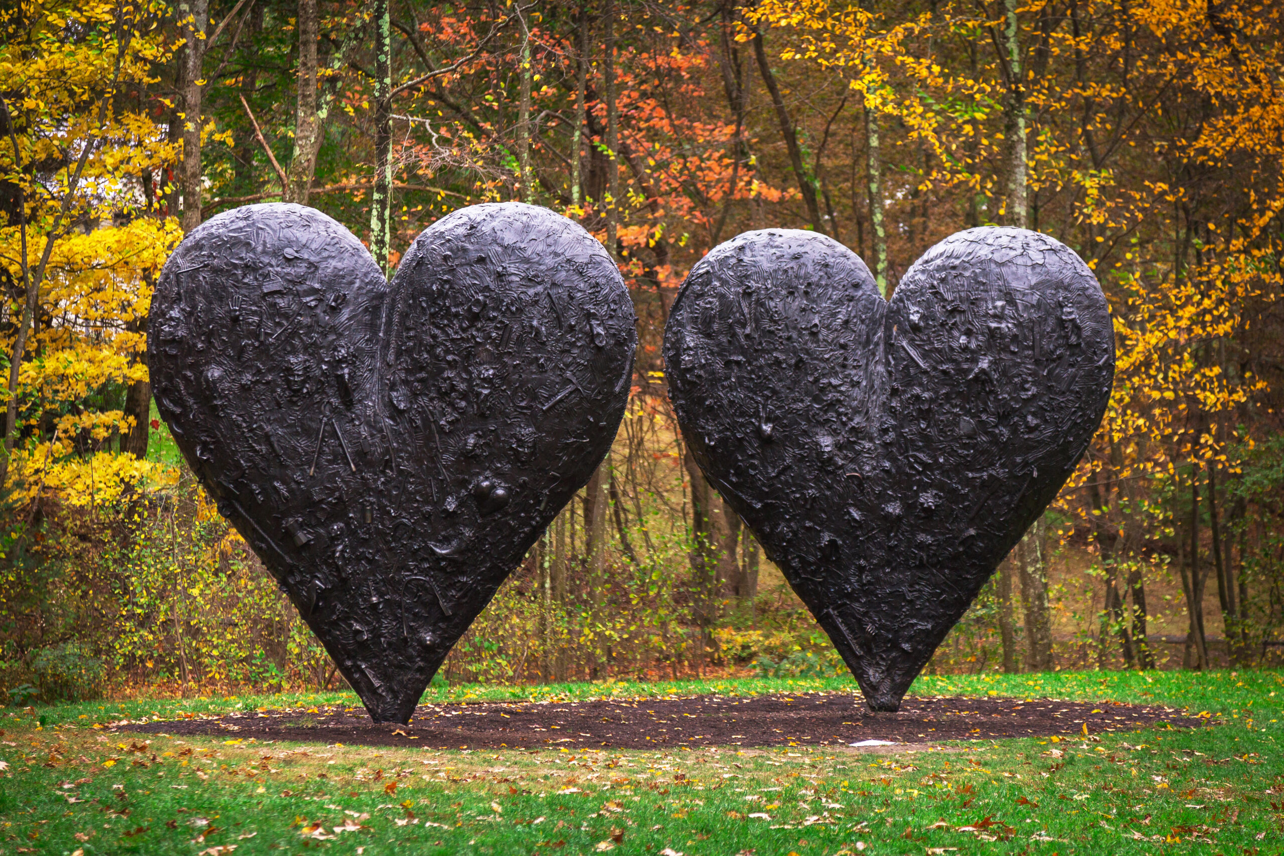 Two black heart sculptures in front of autumn trees